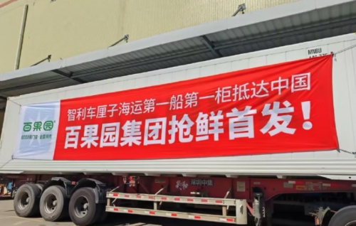 百果園進(jìn)口水果再升級(jí)，智利車?yán)遄雍＿\(yùn)熱銷全國(guó)
