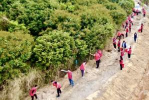 廣東超額完成2024年縣鎮(zhèn)村綠化目標(biāo)