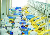 廣西小米粉工業(yè)化發(fā)展十年：“嗦”出百億元產(chǎn)業(yè)