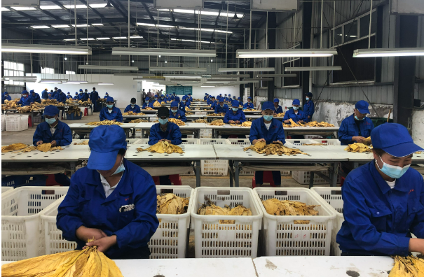 以好“錢景”助力企業(yè)奔向好“前景”