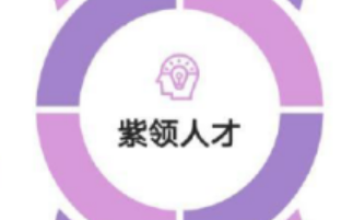 報(bào)告顯示：未來(lái)10年“紫領(lǐng)”人才需求或超3100萬(wàn)