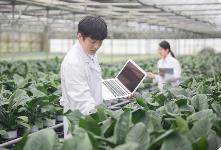 積極探索農(nóng)業(yè)人才高質(zhì)量培養(yǎng)路徑