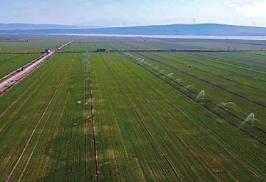 山西實(shí)現(xiàn)農(nóng)業(yè)人口人均一畝水澆地目標(biāo)