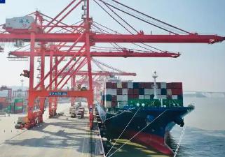 廈門港迎來新年首條外貿(mào)新航線 “一帶一路”航線達(dá)96條