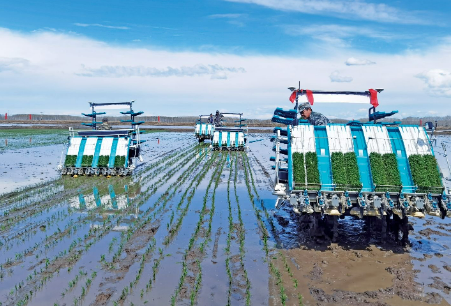 黑龍江提升農(nóng)險(xiǎn)服務(wù)讓受災(zāi)戶吃下“定心丸”