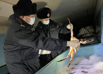 2024年黑龍江省進(jìn)口食用水生動(dòng)物超1000噸 創(chuàng)歷史新高