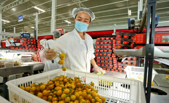 2024年甘肅第三產(chǎn)業(yè)拓寬民眾增收路