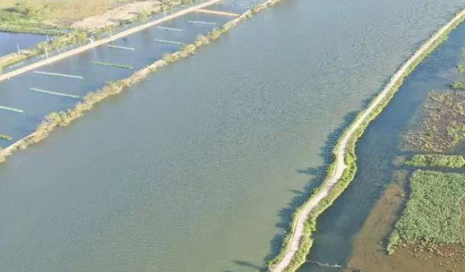 2024年廣東149個國考斷面年均水質(zhì)創(chuàng)歷史最佳水平