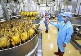 推動餐食高質(zhì)量標(biāo)準(zhǔn)化發(fā)展 中餐工業(yè)化創(chuàng)新成果在京發(fā)布