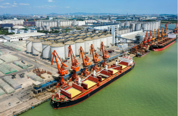 中國(guó)遠(yuǎn)洋海運(yùn)：激活糧食“大遷徙”中的高速引擎