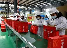 更顯眼 更有趣 更保鮮　創(chuàng)新包裝重塑農(nóng)產(chǎn)品“命運軌跡”