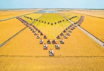 10組數(shù)據(jù)，看2024年龍江“三農(nóng)”成績單！