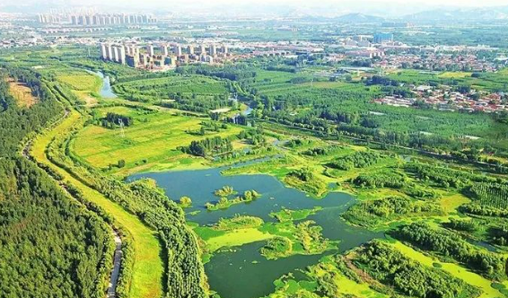 穩(wěn)中蓄勢 進中謀變——山東蹄疾步穩(wěn)推進綠色低碳高質(zhì)量發(fā)展先行區(qū)建設(shè)