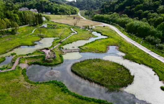 四川基本建成濕地保護網(wǎng)絡(luò)體系
