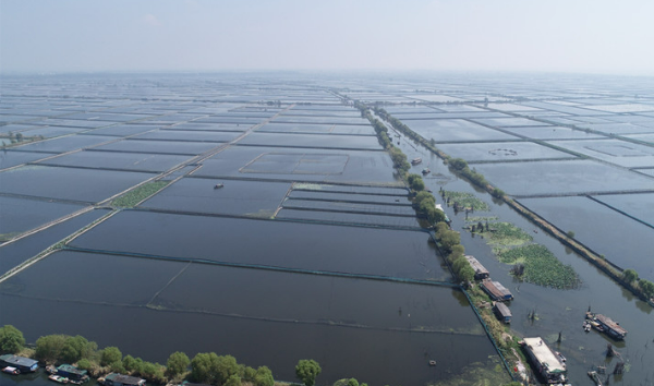 江蘇發(fā)布《洪澤湖漁業(yè)資源保護若干規(guī)定》