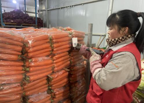 不少蔬菜水果進了垃圾桶，如何減少損耗浪費？