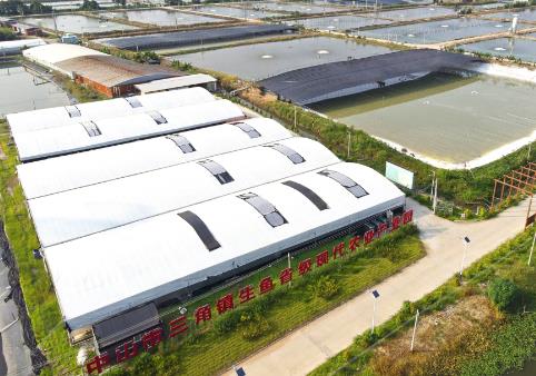 年產(chǎn)值超17億元 “中國(guó)生魚(yú)之鄉(xiāng)”探索智慧漁業(yè)發(fā)展