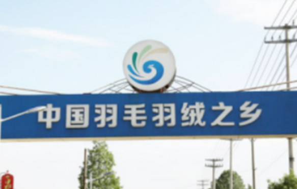 “中國(guó)羽毛羽絨之鄉(xiāng)”安徽無(wú)為：羽毛輕輕產(chǎn)業(yè)重