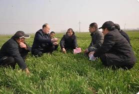 農業(yè)農村部開展春管春耕調研指導