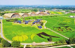 四川成都現(xiàn)代都市農(nóng)業(yè)擴(kuò)面提質(zhì)