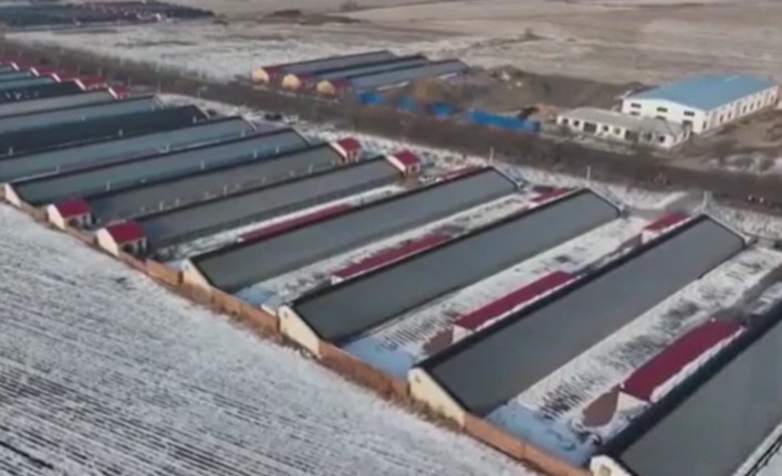 各地加快推動(dòng)鄉(xiāng)村產(chǎn)業(yè)振興