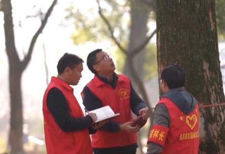 我國古樹名木保護(hù)取得積極進(jìn)展