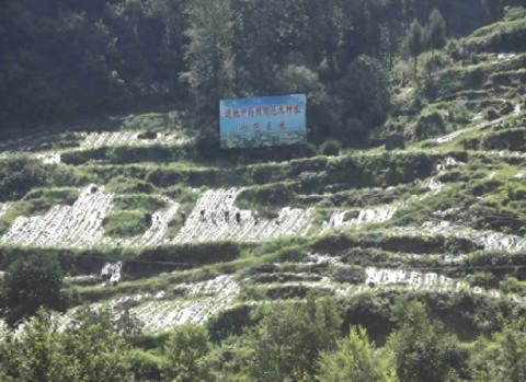 四川萬(wàn)源通過(guò)“天麻之鄉(xiāng)”評(píng)審