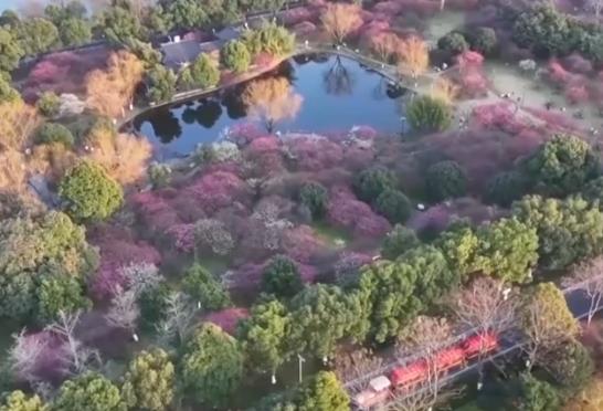 春日經(jīng)濟(jì)不斷升溫 錯(cuò)峰出游、賞花游成為新選擇