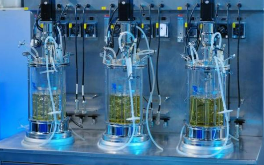 化妝品原料又迎重磅政策利好 中國特色植物原料引領(lǐng)潮流