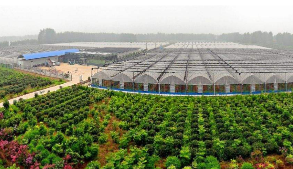 山西運(yùn)城： 做好“科技活” 栽下“金苗苗”