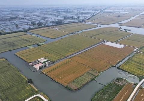 守好生態(tài)“財(cái)富”，江蘇興化打造新時(shí)代“魚(yú)米之鄉(xiāng)”