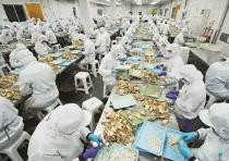 福建漳州 新生代休閑食品企業(yè)以“微創(chuàng)新”撬動市場