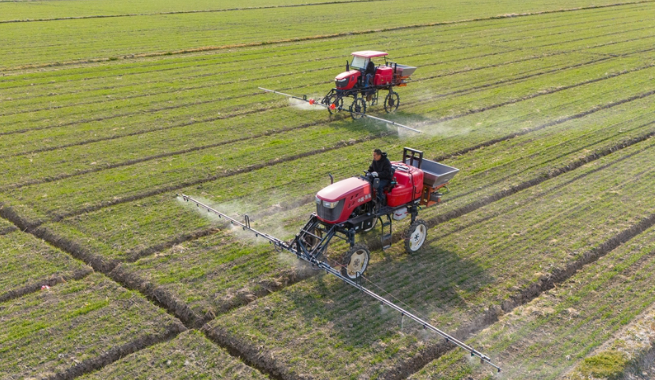 激發(fā)鄉(xiāng)村全面振興澎湃動能——中國經(jīng)濟(jì)圓桌會聚焦2025年中央一號文件