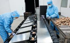 擁抱新“食”代，聚力深加工闖蕩大市場(chǎng)