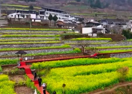 “賞花游”激發(fā)各地文旅市場消費(fèi)熱潮 “春日經(jīng)濟(jì)”綻放新活力