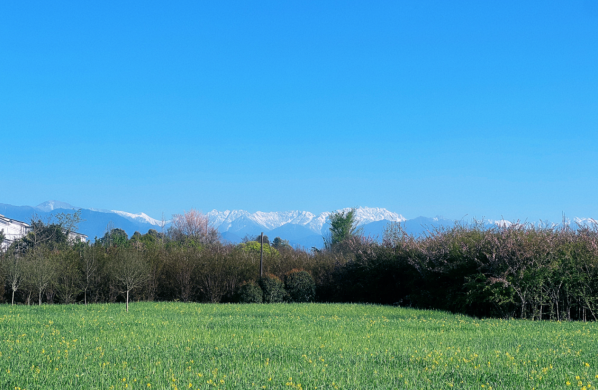 青城山下田園康養(yǎng)天堂：特色旅居酒店攜手全國(guó)精英共創(chuàng)未來(lái)