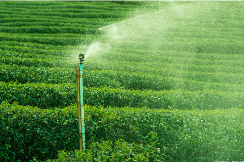 內(nèi)蒙古開啟農(nóng)業(yè)節(jié)水“5個(gè)提升”模式