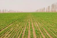 新技術(shù)新設(shè)備助力春季田管