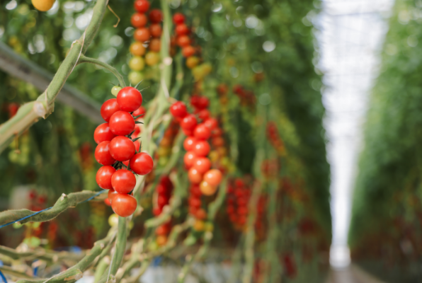 20250306140230262.png 20250306140230262.png