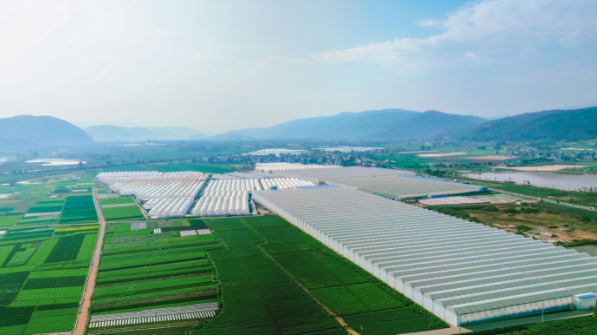 20250306140259763.png 20250306140259763.png