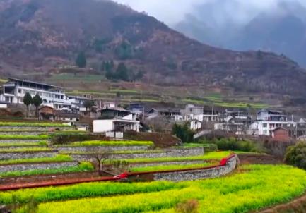 春風(fēng)吹熱“花經(jīng)濟(jì)” 農(nóng)文旅融合為鄉(xiāng)村振興“增色添香”