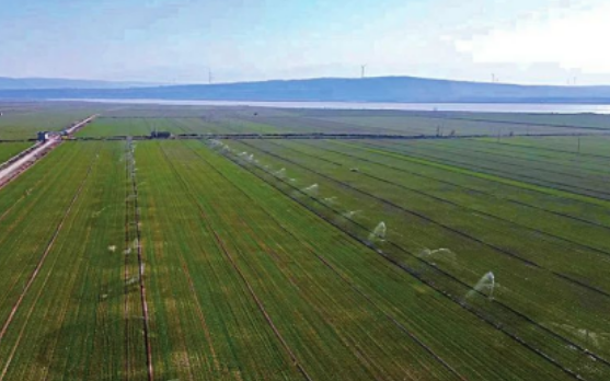 山西省將新增恢復60萬畝水澆地