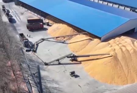 市場購銷活躍 “數字孿生+數智管理”助力糧食全產業(yè)鏈升級迭代