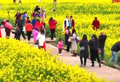 好風(fēng)景變身好“錢”景 鳥(niǎo)語(yǔ)花香點(diǎn)亮“春日經(jīng)濟(jì)”新活力