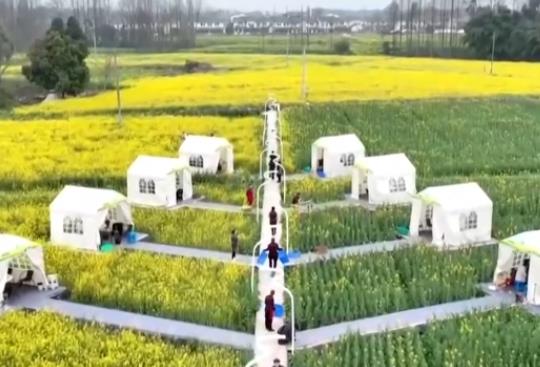 坐飛機(jī)賞花、圍爐煮茶、花田火鍋……花樣新場(chǎng)景釋放消費(fèi)新活力