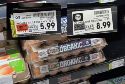 雞蛋價(jià)格飆漲 美國開啟全球購蛋模式