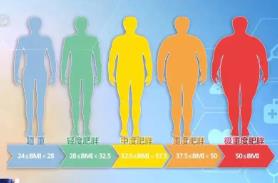 國家版減肥指南來了！權(quán)威食譜，細化到地區(qū)