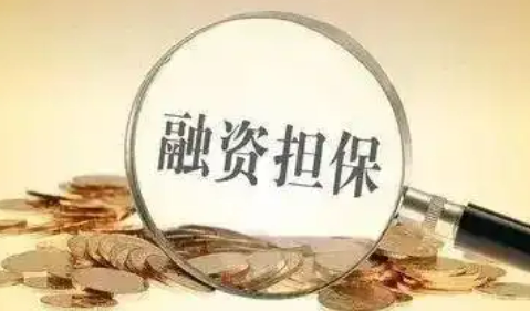 財政部有關(guān)負責人就《政府性融資擔保發(fā)展管理辦法》答記者問