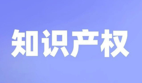 國家知識產(chǎn)權(quán)公共服務(wù)平臺上線