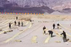 內(nèi)蒙古：黃河“幾字彎”防沙治沙忙